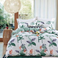 路易卡罗(Louiskellog) LK-6303 璇之礼四件套 纯棉 晨间馨香-绿 留恋丽景-绿 单套