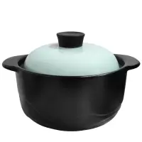 爱仕达(ASD) 甄爱系列 陶瓷养生煲 RXC35A1TG 海天蓝