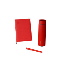 德世朗(DESLON) DJL-TZ066B 锦鲤套装B