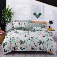 天琴 绿野仙踪-银离子抗菌四件套 TQ-B074家用床品洛卡棉 200*230cm