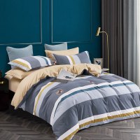 天琴 时尚名义柔丝棉四件套TQ-T128