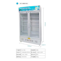 索斯尔 双门冷藏展示柜冰箱SLC-608直冷 啤酒保鲜三开门立式饮料饮品