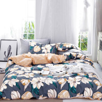 天琴 TQ-T123 花漾年华-云朵棉四件套