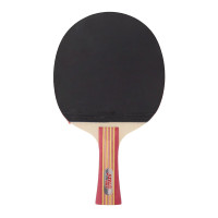 红双喜(DHS) 男女乒乓球场上比赛训练乒乓套拍乒乓球拍 DXEK008-1 MISC
