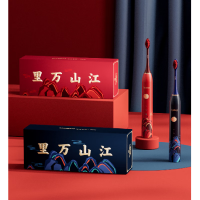 ApiYoo 国风系列豪华套装吹风机电动牙刷 全自动防水情侣套装