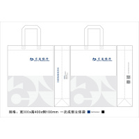 边碧 定制帆布手提袋 300*400*100 1000个/包