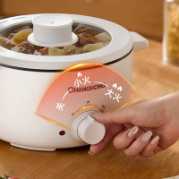 长虹(CHANGHONG) 电火锅