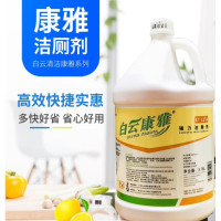 白云清洁(BAIYUN CLEANING)强力洁厕剂康雅洁厕液洁厕灵大桶装3.78L*4桶/箱KY115A