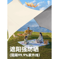 拓牌 天幕+露营桌椅套装