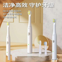 和正(HEZHENG) 电动牙刷 HZ-IT-3