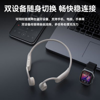 飞利浦(PHILIPS)TAA6609C 骨传导蓝牙耳机32G内存款蓝色