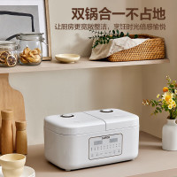 苏泊尔(SUPOR) 双胆电饭煲-SF20TC601 2L+2L