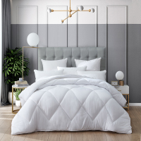 梦洁(MENDALE) 舒柔十孔甄芯四季被200*230CM 1010200227
