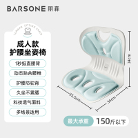 朋森(BARSONE) 成人款护腰矫姿坐垫BS-Z1 云水蓝