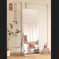 小窝厘 全身镜试衣镜流光金[60*165cm]高清防爆挂摆两用款