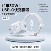 倍思 GaN5S氮化镓快充套装 30W 自带type-c线 皓雪白