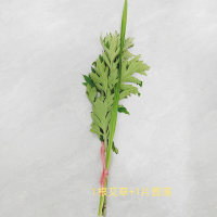 小窝厘 端午艾草菖蒲束1根艾草配1根菖蒲(起订量:500份)