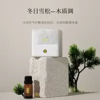 宋朝 冰川系列扩香石冬日雪松