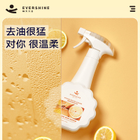 EVERSHINE晴天大白油污净500ml*3瓶+喷头*1个