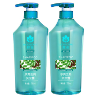 蜂花(BEE & FLOWER) 净爽去屑洗发露750ml*2瓶