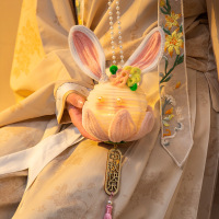 小窝厘 中秋节小兔花灯儿童手工diy编织扭扭棒制作材料包DIY-手提小兔灯-中秋快乐