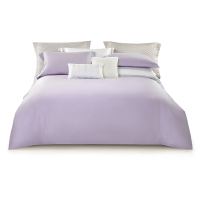 洁玉(Jeyu) 绵绵时光天丝棉四件套-紫J4719200cm*230cm