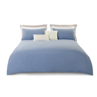 洁玉(Jeyu) 青山心语柔软亲肤四件套-蓝J4729200cm*230cm