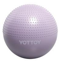yottoy 瑜伽球带刺颗粒加厚防爆大龙球儿童感统训练球宝宝按摩球65m紫色