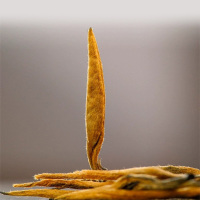 澜沧古茶 滇红金针单泡礼盒装100g