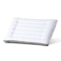 水星(MERCURY)DH春眠抗菌对枕48*74cm 123033