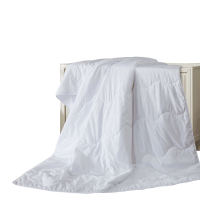 富安娜(FUANNA) 清逸夏被- 悠冉时光 152*210cm(250g)