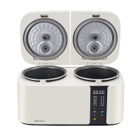 山水(SHANSHUI) 多功能双胆饭煲 S-FB1207