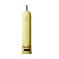 丽特斐 真空保鲜封口机 FE-202绿色(配送十个真空袋)