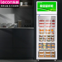 乐创(lecon)260升 食品留样柜水果保鲜饮料冷藏展示柜小型冰箱带锁 LC-J-HC260L*