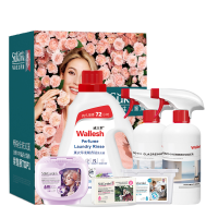 蔬果园+威立世 家 庭清洁六件套SW2402