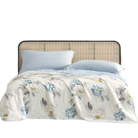 梦洁 1010289112 水洗抗菌夏被 180*200cm(单位:床)夏日繁花