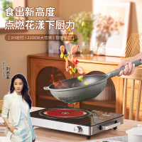 拉尔弗(Nerf)电陶炉 OLK-22D黑色