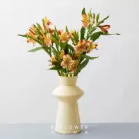 花点时间(Reflower) 期待相逢1束水仙百合(收到订单后的72h内发货)*