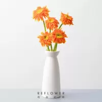 花点时间(Reflower) 童心未泯1束 弗朗花 (收到订单后的72h内发货)*