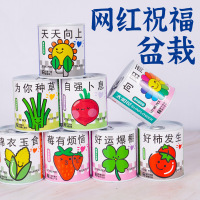 iChoice 易拉罐种植diy小盆栽桌面绿植栽培罐头植物网红祝福盆栽种子款式随机20盆