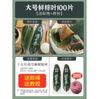小窝厘 端午节diy手工粽子叶批发包粽子材料送绳-精选[宽9-12cm]鲜粽叶100片(送大粽绳)