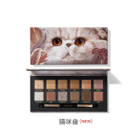 完美日记(PERFECT DIARY) 探险家十二色眼影盘09猫咪大地色盘