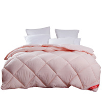 梦洁家纺 1010289268 悦享十孔 双人冬被 200*230cm 2000g(单位:床)粉色