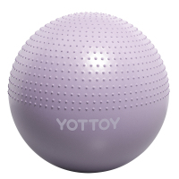 yottoy 瑜伽球带刺颗粒加厚防爆大龙球儿童感统训练球宝宝按摩球65m 紫色