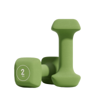 飞尔顿 方糖哑铃一对装FED-YL-10-01单只1KG * 2-颜色随机