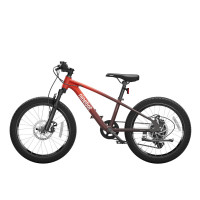 九号Ninebot童车20寸KB20红色