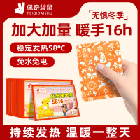 佩奇袋鼠 大尺寸暖手宝10片*1袋