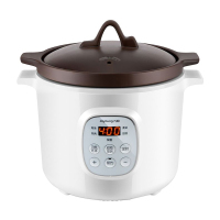 九阳(Joyoung) 电炖锅-- DGD2066AM