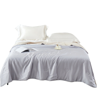 金丝莉(kintheri) 美拉德 蚕丝被 JB-1307 200*230cm