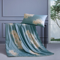 梦洁家纺舒柔印花蚕丝纤维夏被套装-瑞梦 (含枕芯一对)1010289057 150×200cm